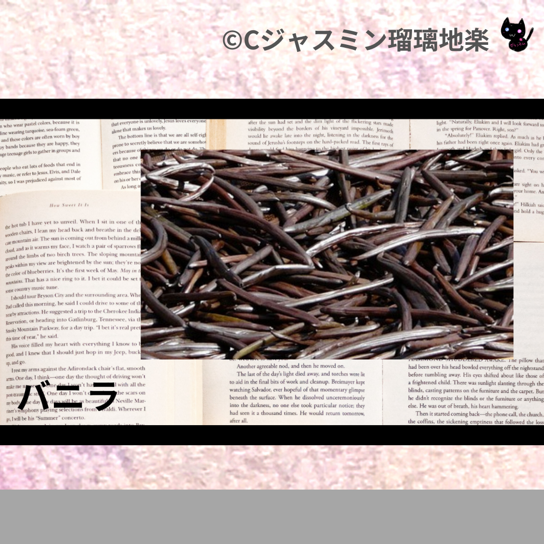 バニラ(精油・ハーブ・スパイス)＠botanical-study.com