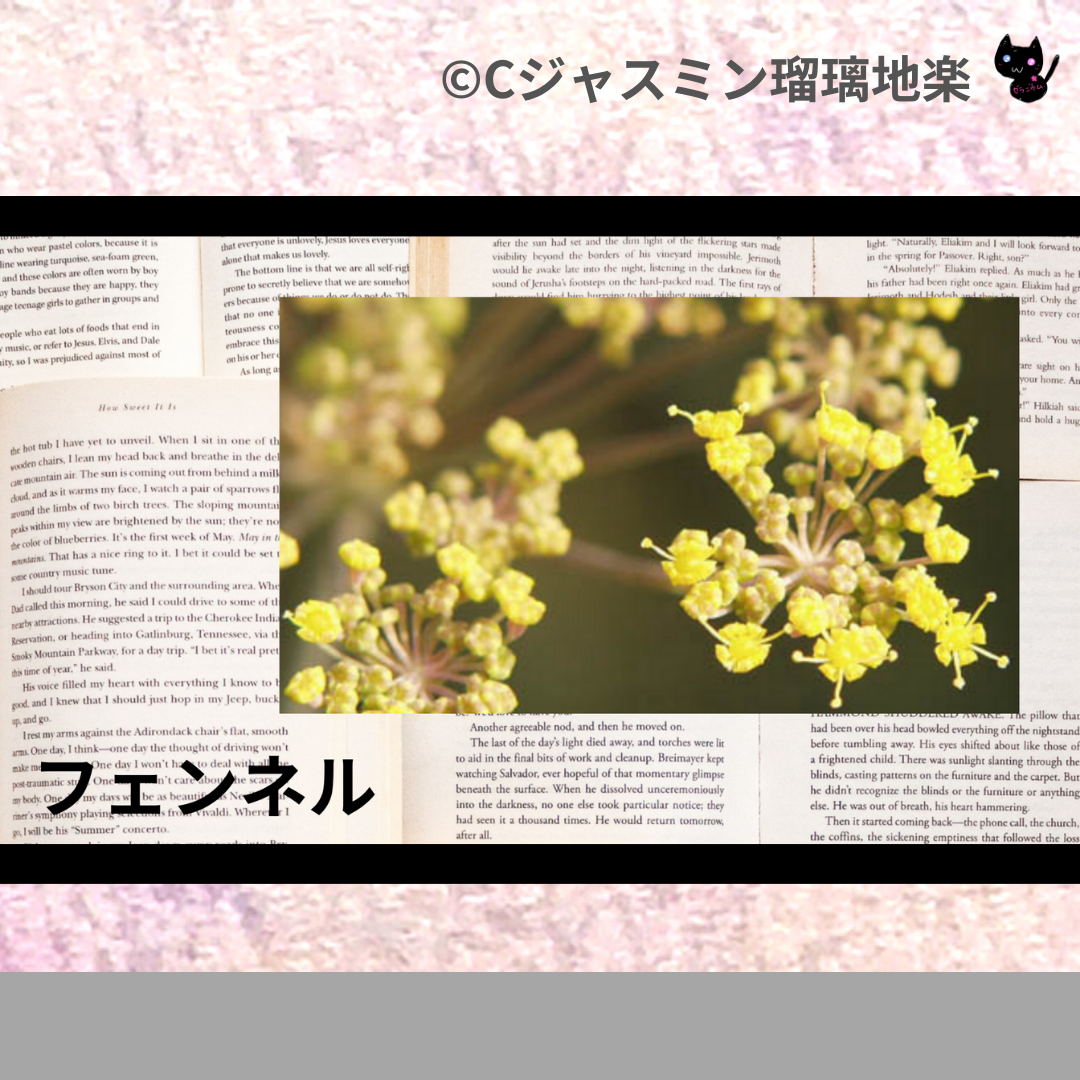 フェンネル(精油・ハーブ・スパイス)＠botanical-study.com