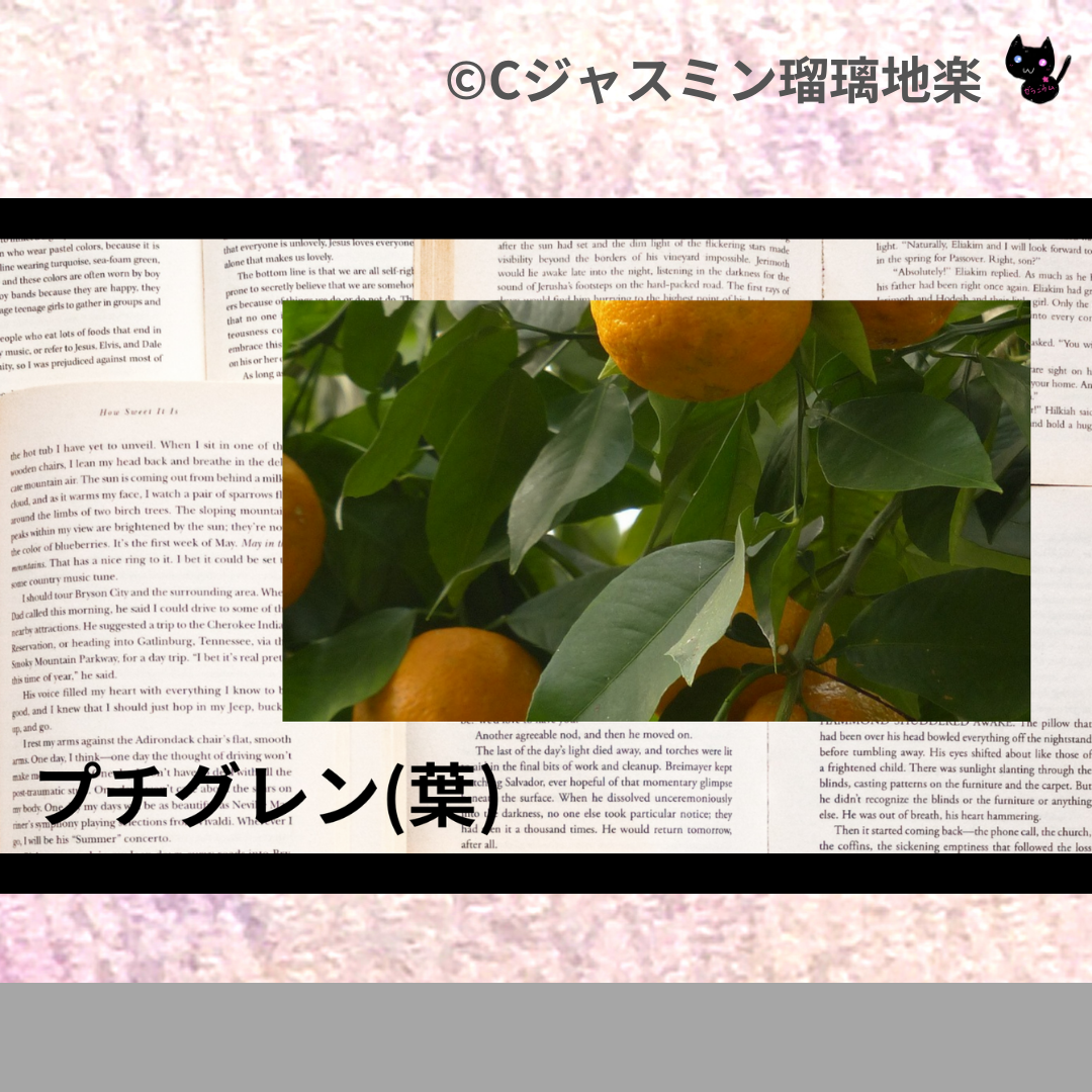 プチグレン(葉)(精油)＠botanical-study.com