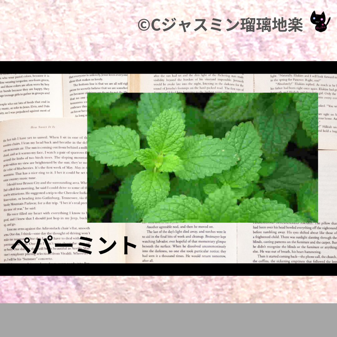 ペパーミント(精油・ハーブ)＠botanical-study.com