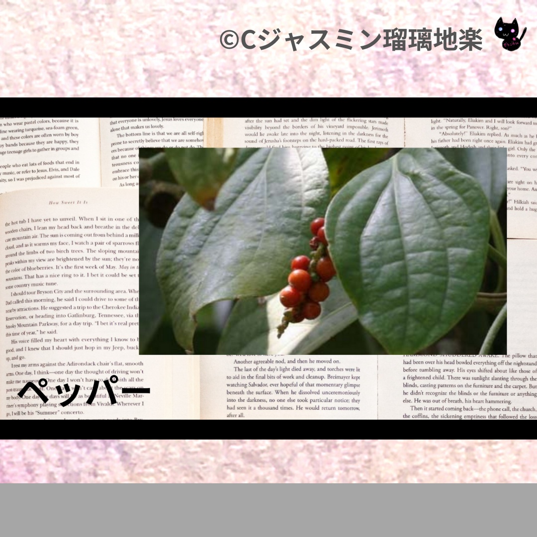 ペッパー(精油・ハーブ・スパイス)＠botanical-study.com