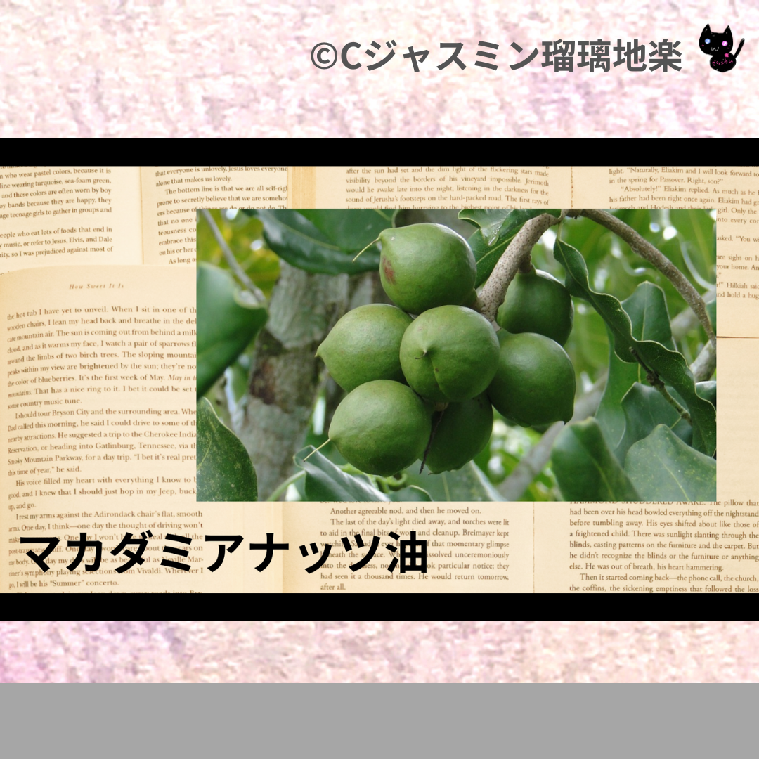マカダミアナッツ油(基材)＠botanical-study.com