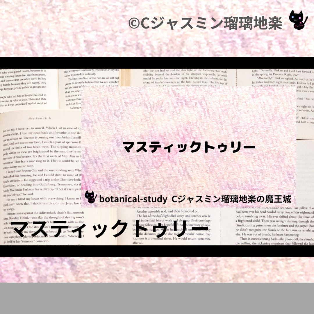 マスティックトゥリー(精油)＠botanical-study.com