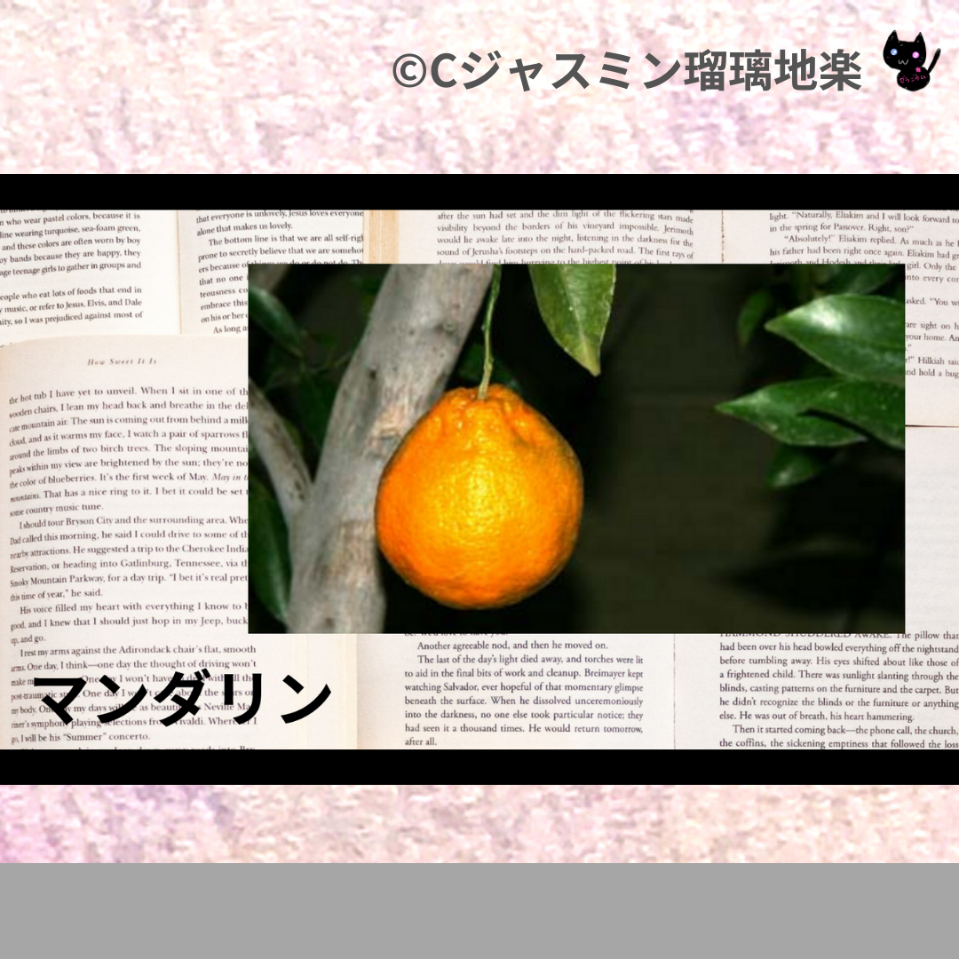 マンダリン(精油)＠botanical-study.com