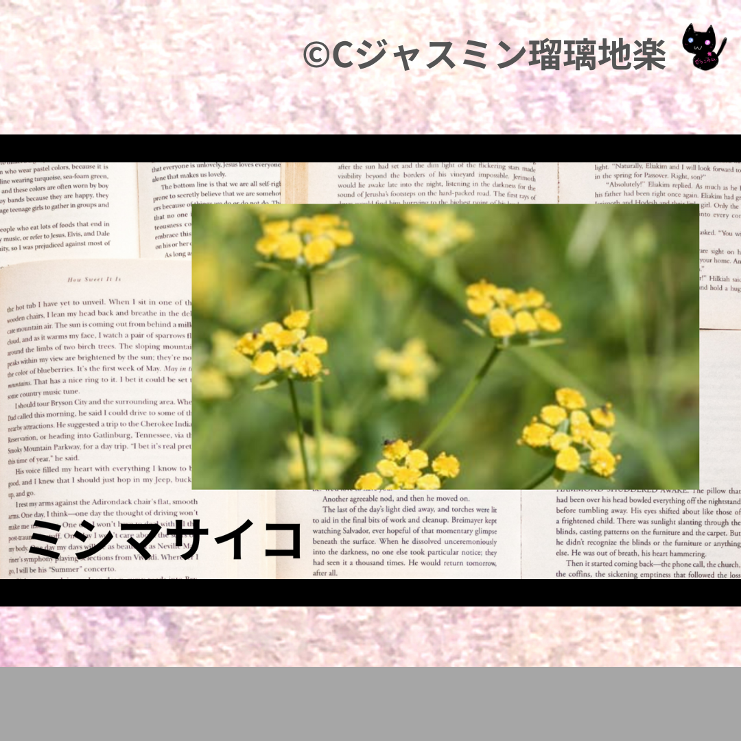 ミシマサイコ(ハーブ)＠botanical-study.com
