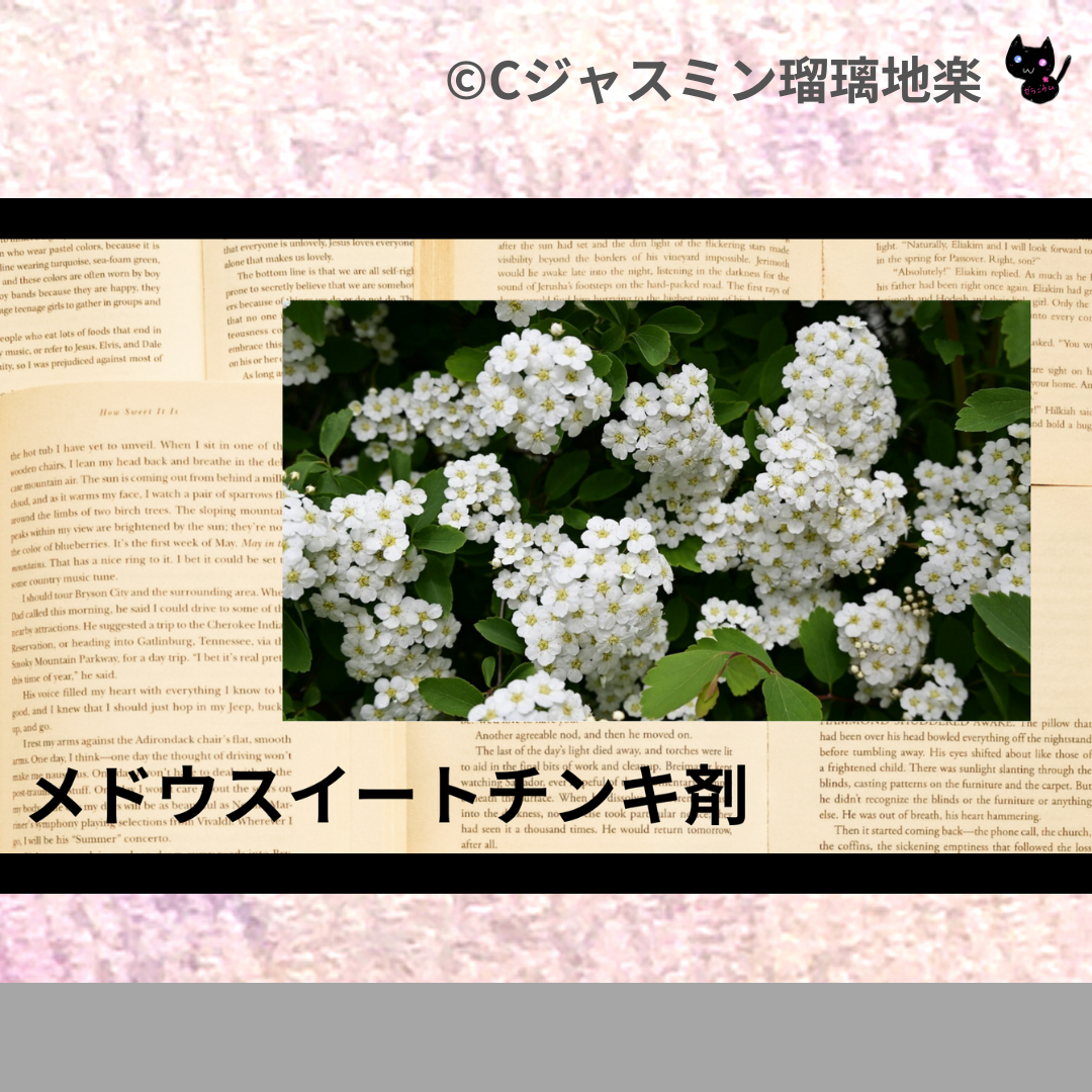 メドウスイートチンキ剤(基材)＠botanical-study.com