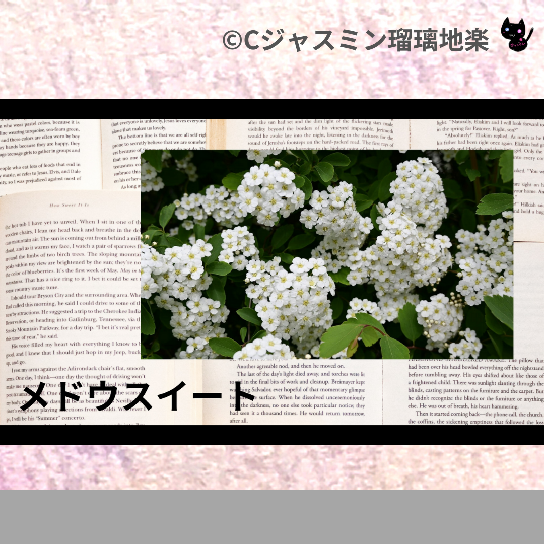 メドウスイート(ハーブ)＠botanical-study.com