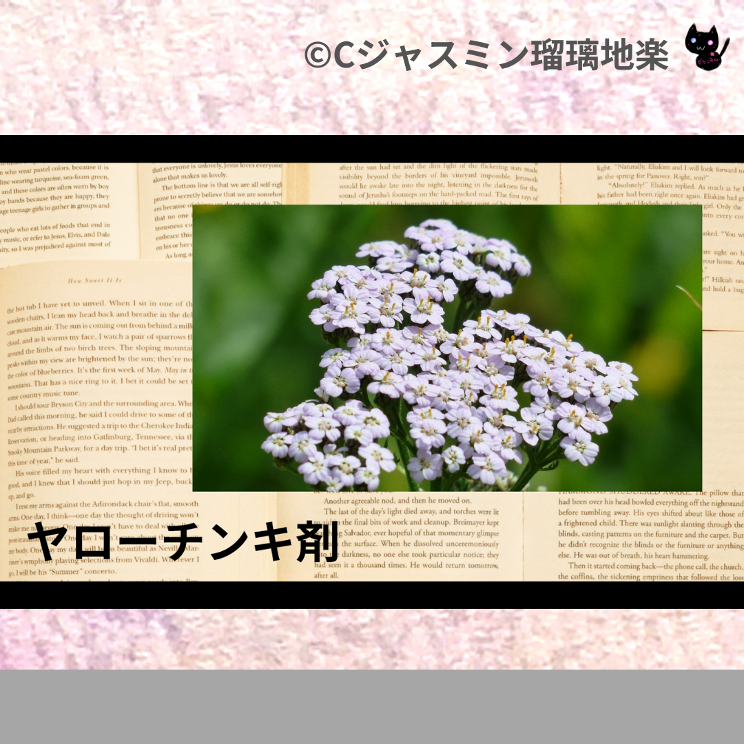 ヤローチンキ剤(基材)＠botanical-study.com