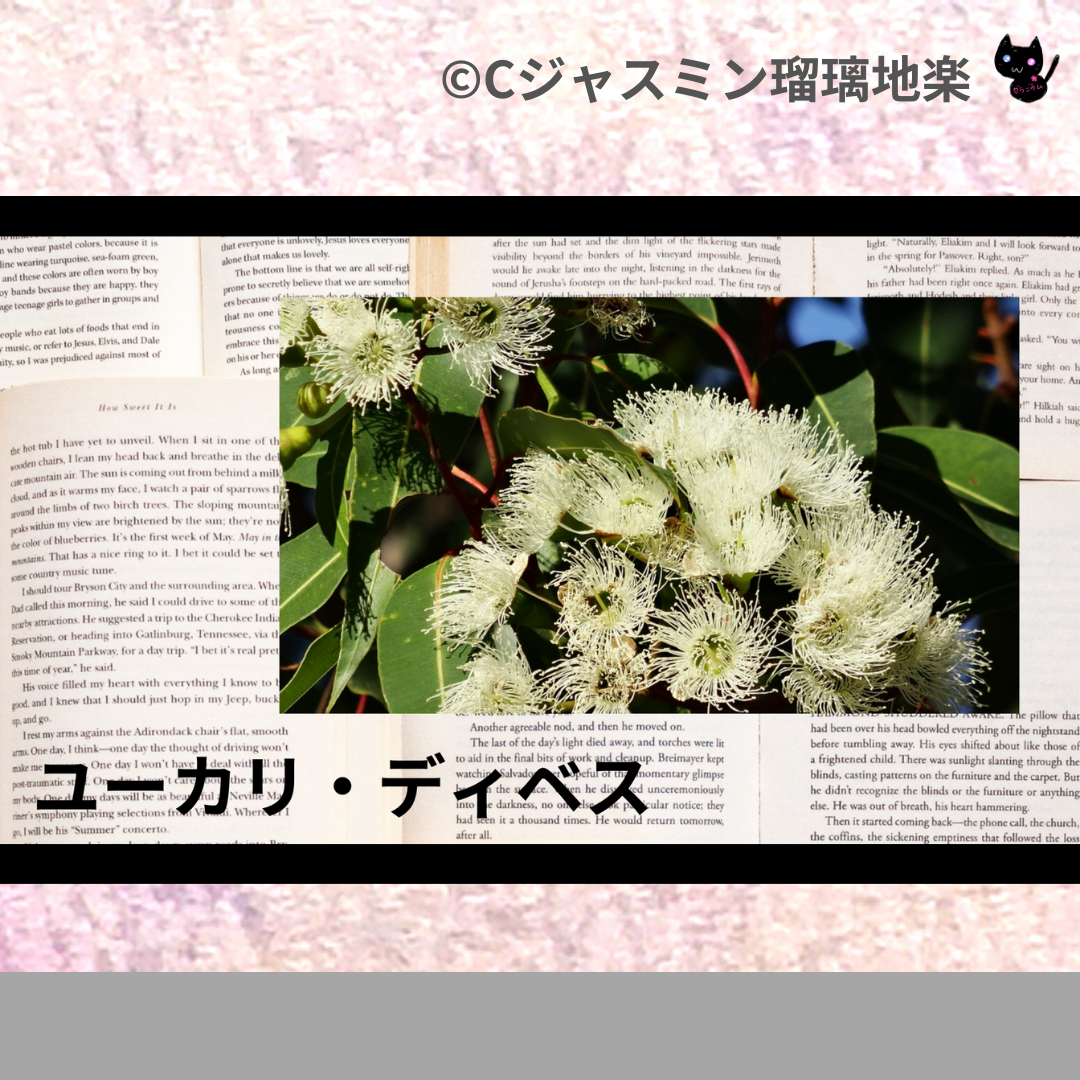 ユーカリ・ディベス(精油)＠botanical-study.com