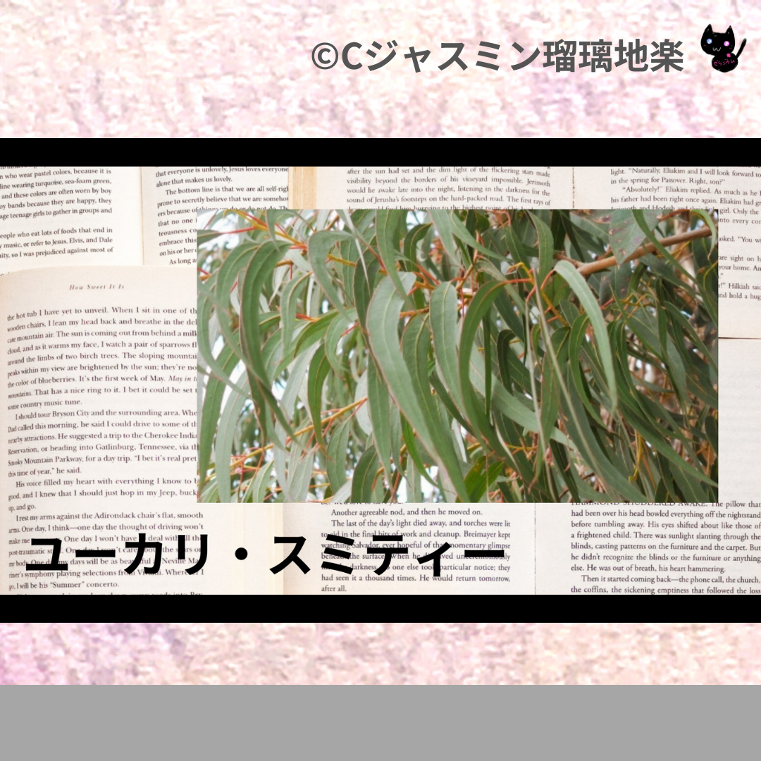 ユーカリ・スミティー(精油)＠botanical-study.com