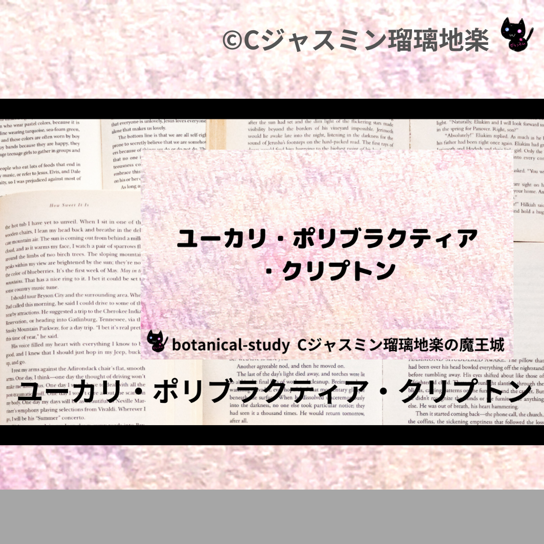 ユーカリ・ポリブラクティア・クリプトン(精油)＠botanical-study.com