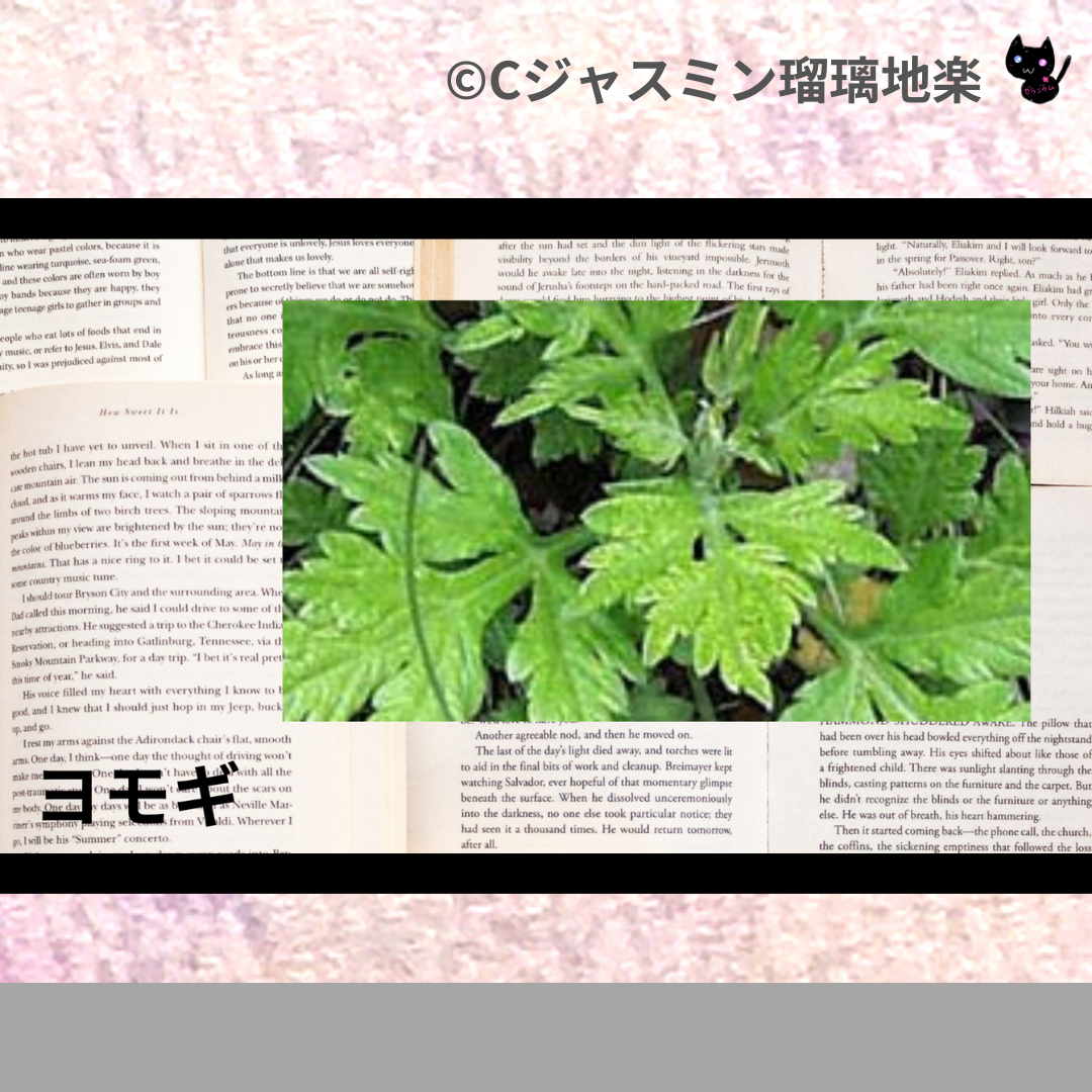 ヨモギ(ハーブ)＠botanical-study.com