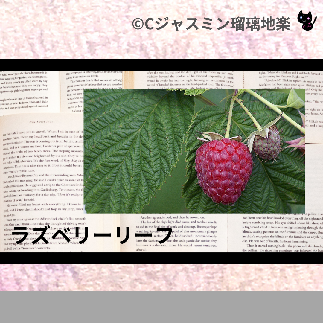 ラズベリーリーフ(ハーブ)＠botanical-study.com