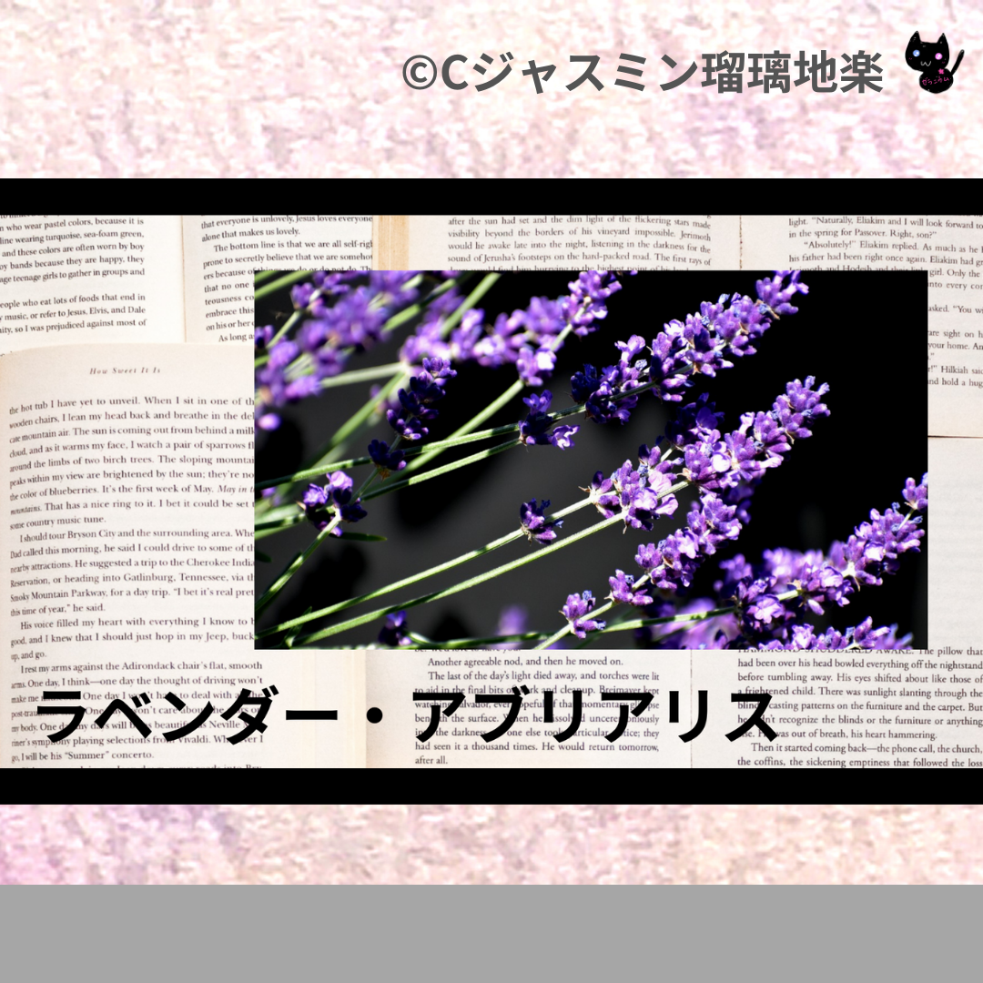 ラベンダー・アブリアリス(精油)＠botanical-study.com