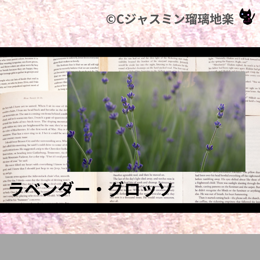 ラベンダー・グロッソ(精油)＠botanical-study.com