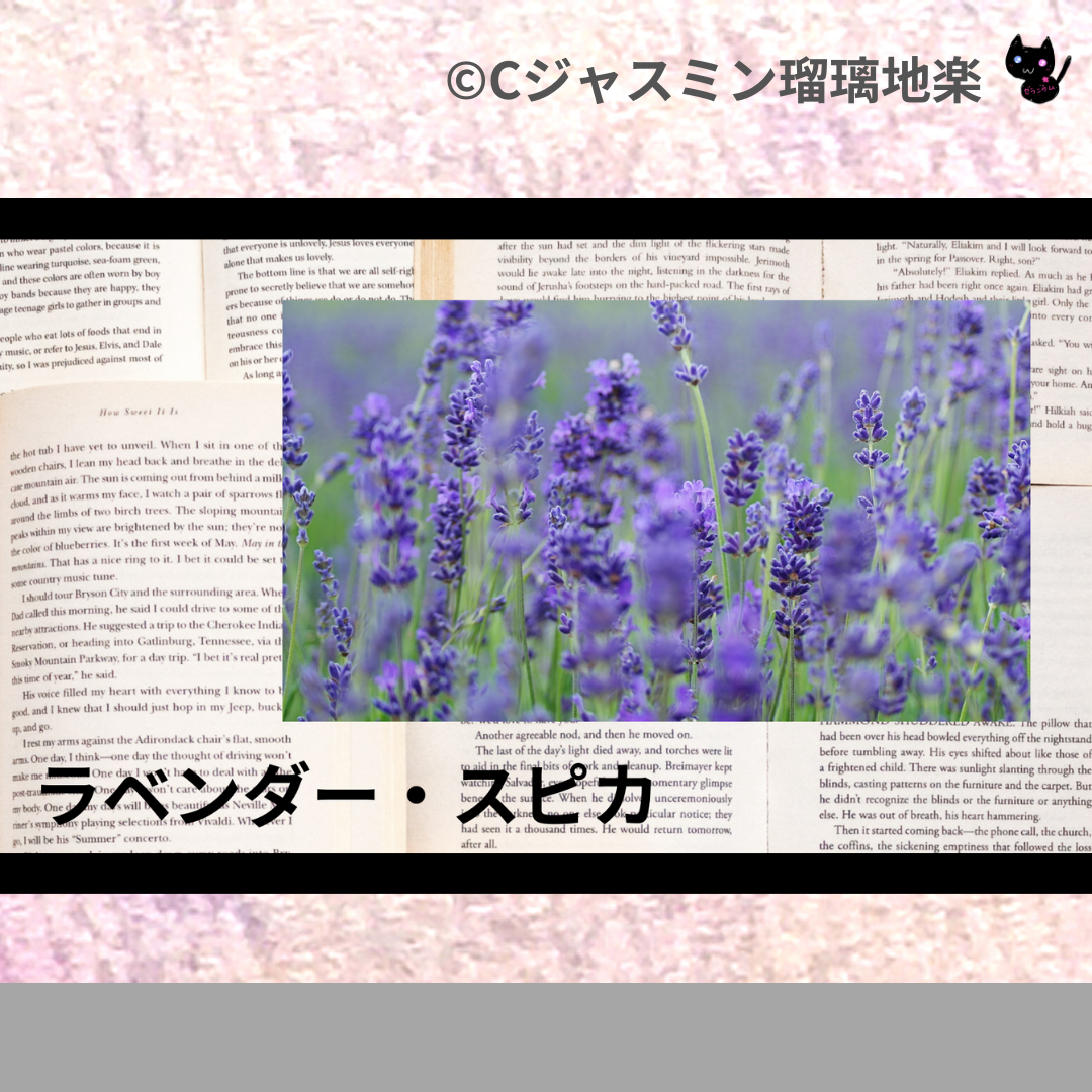 ラベンダー・スピカ(精油)＠botanical-study.com
