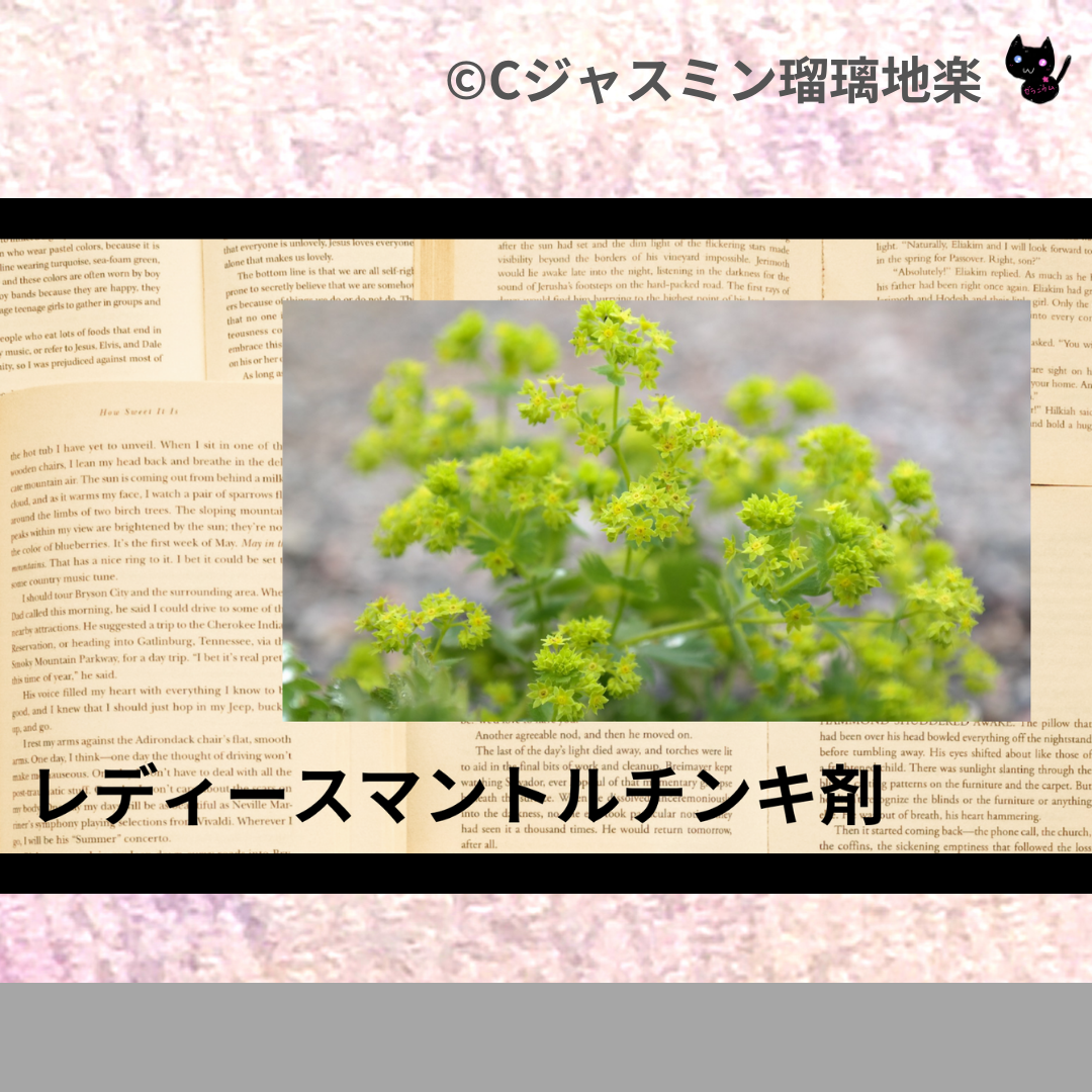レディースマントルチンキ剤(基材)＠botanical-study.com