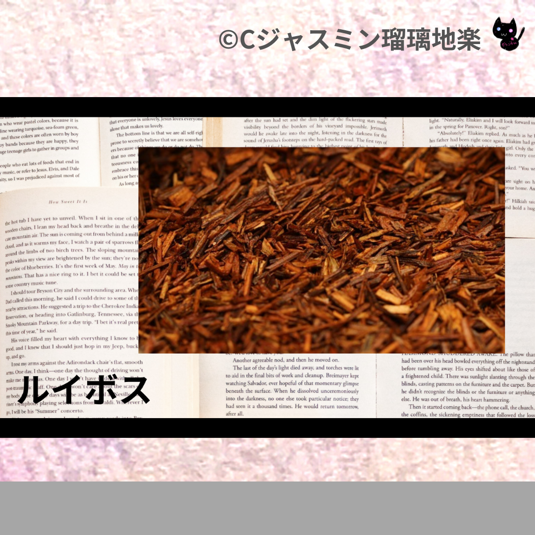 ルイボス(ハーブ)＠botanical-study.com