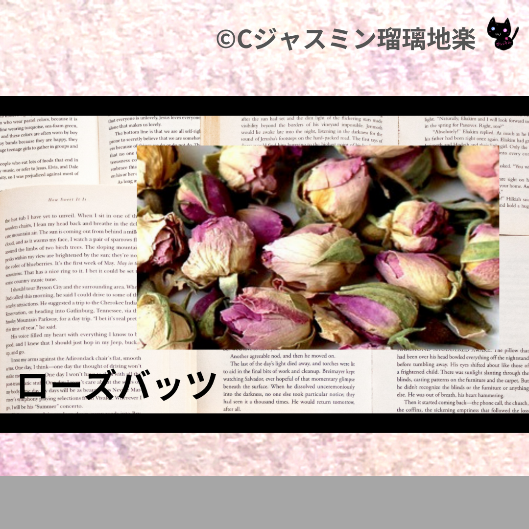 ローズバッツ(ハーブ)＠botanical-study.com