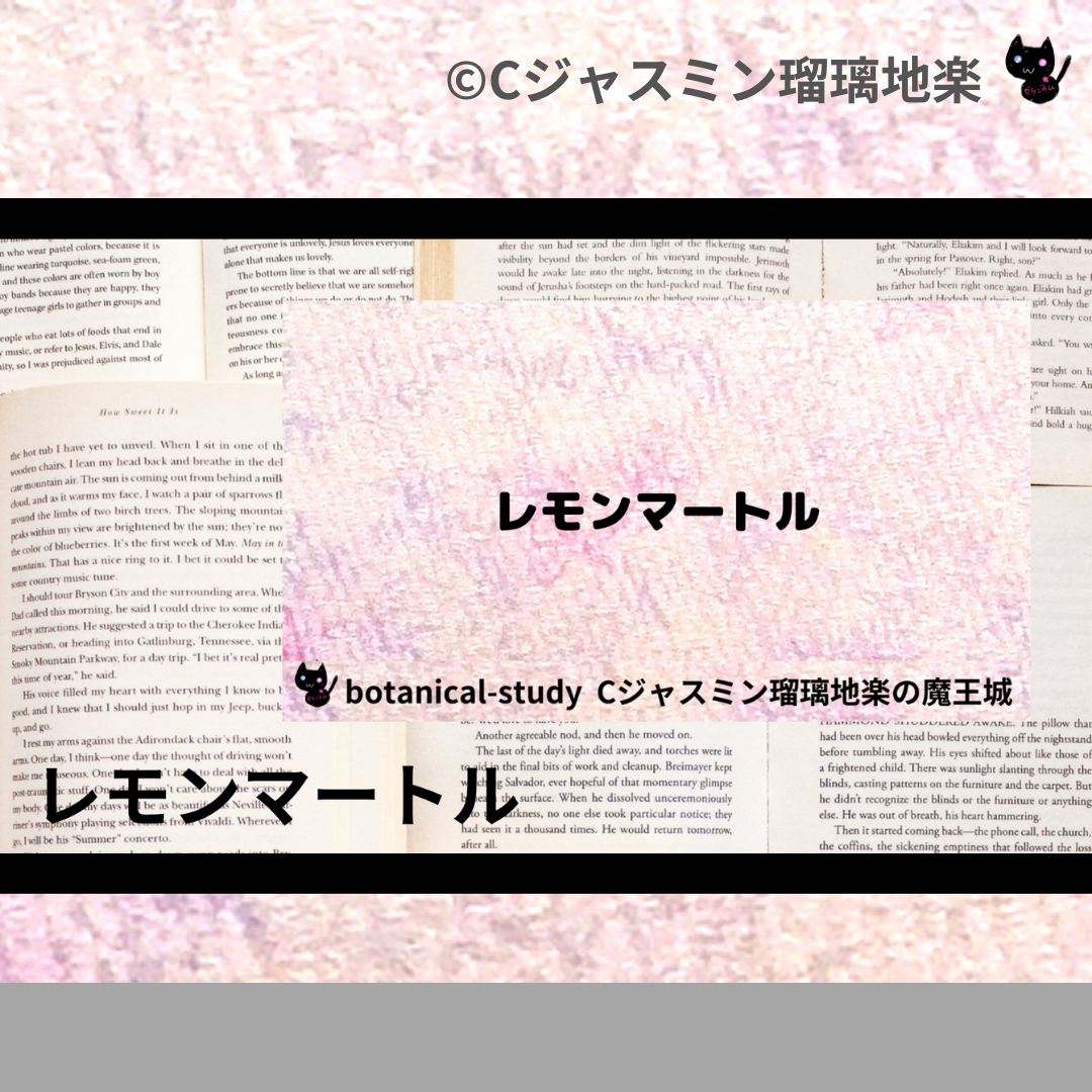 レモンマートル(ハーブ)＠botanical-study.com