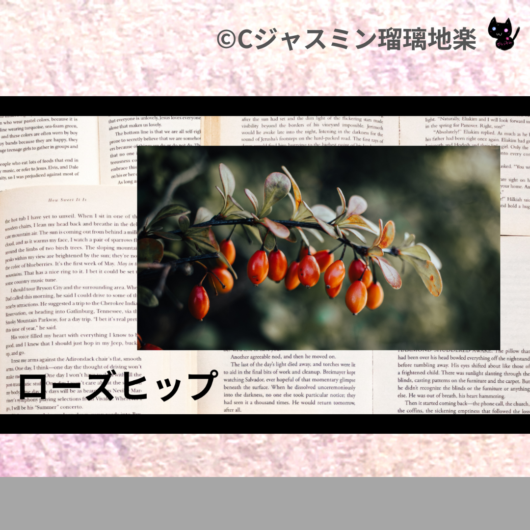 ローズヒップ(ハーブ)＠botanical-study.com