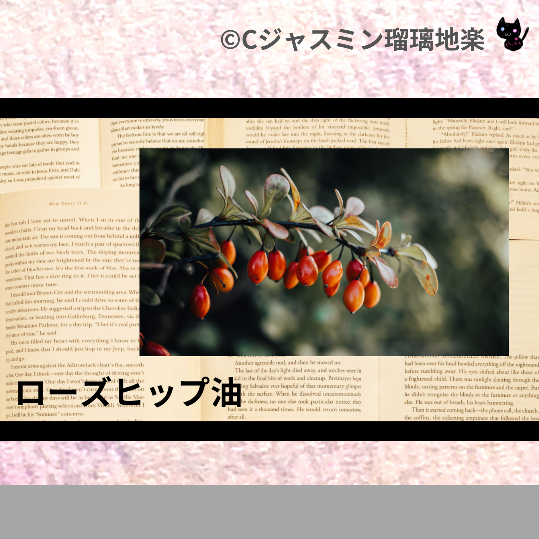 ローズヒップ油(基材)＠botanical-study.com