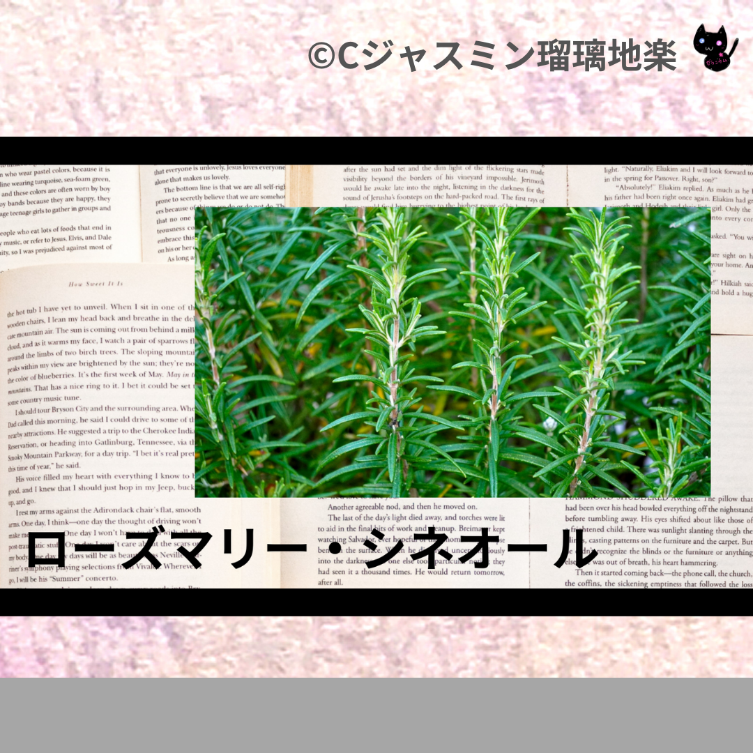 ローズマリー・シネオール(精油)＠botanical-study.com