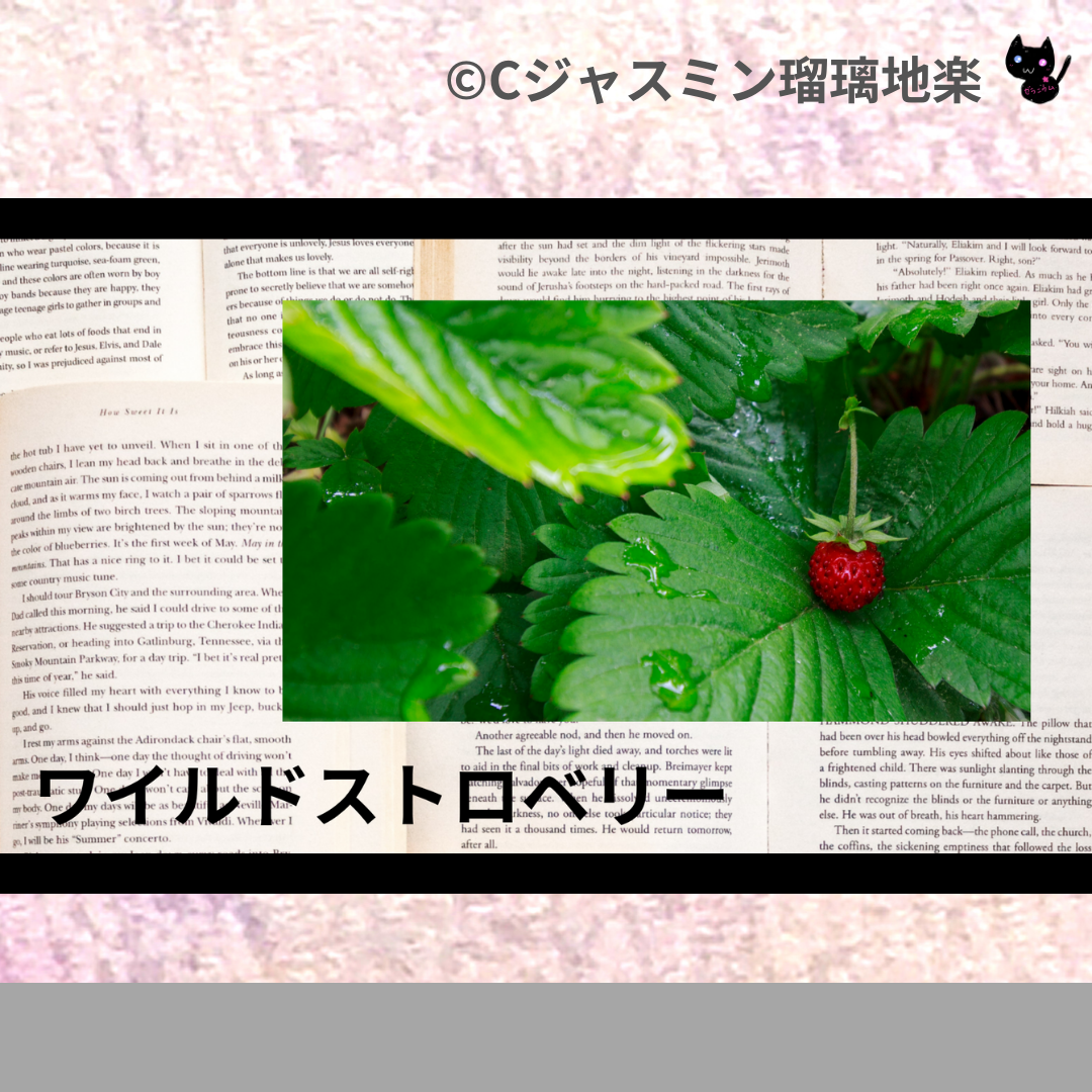 ワイルドストロベリー(ハーブ)＠botanical-study.com