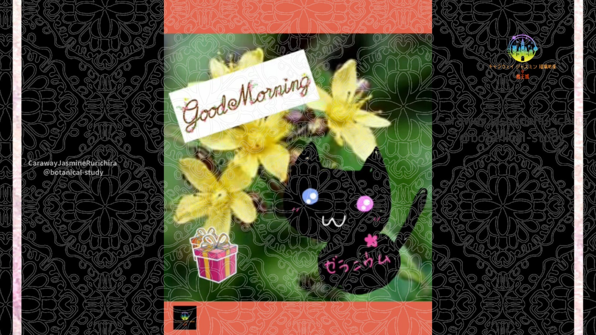 6月24日誕生花オトギリソウ by Cジャスミン瑠璃地楽 | botanical-study.com