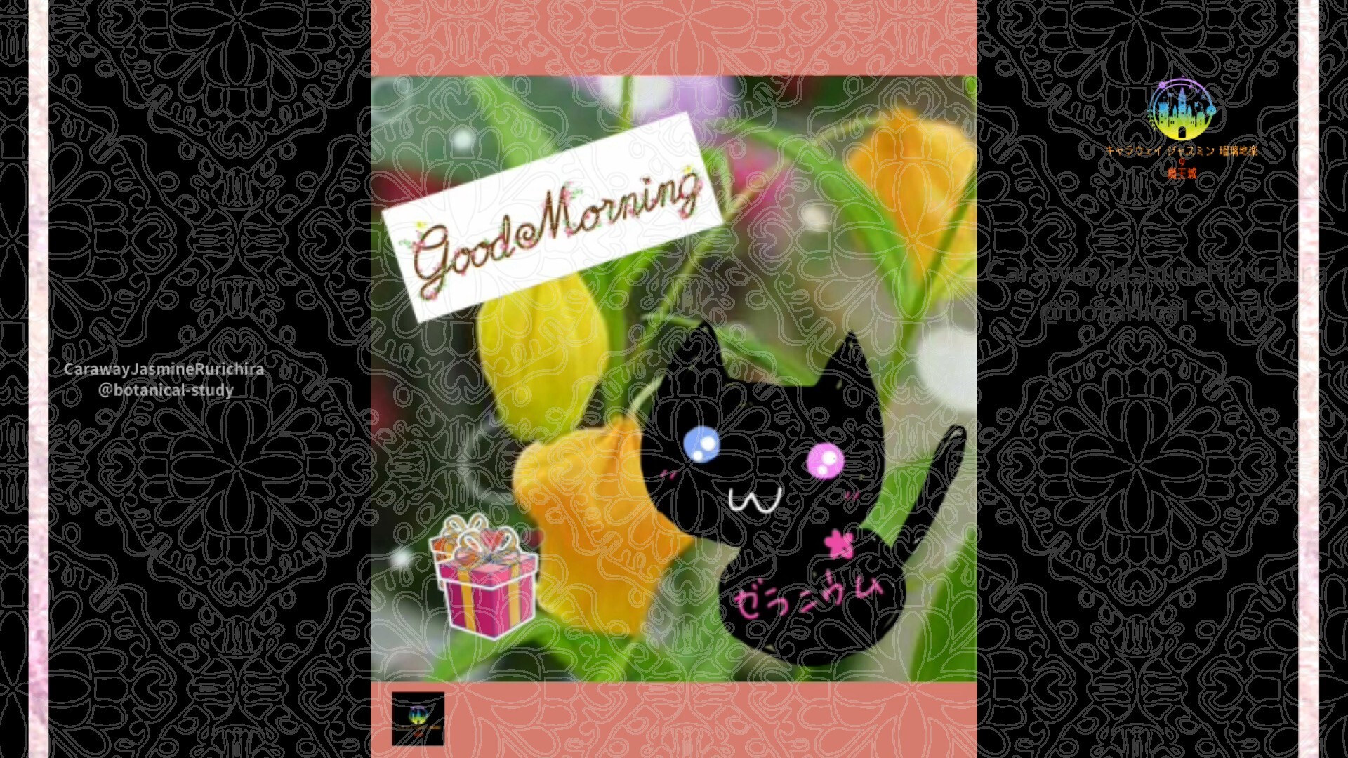 6月27日誕生花サンダーソニア by Cジャスミン瑠璃地楽 | botanical-study.com