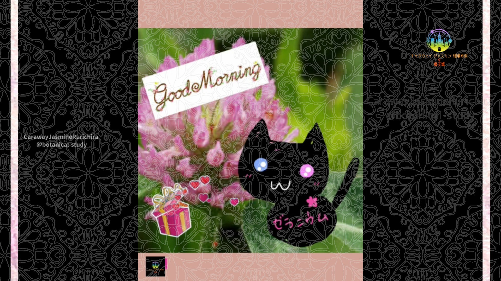 6月26日誕生花レッドクローバー by Cジャスミン瑠璃地楽 | botanical-study.com