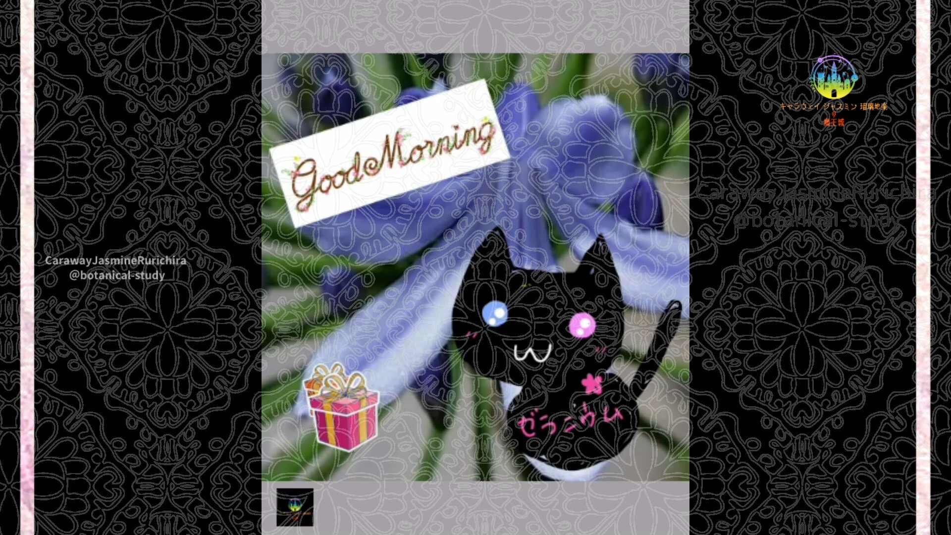 6月25日誕生花アガパンサス　by Cジャスミン瑠璃地楽 | botanical-study.com