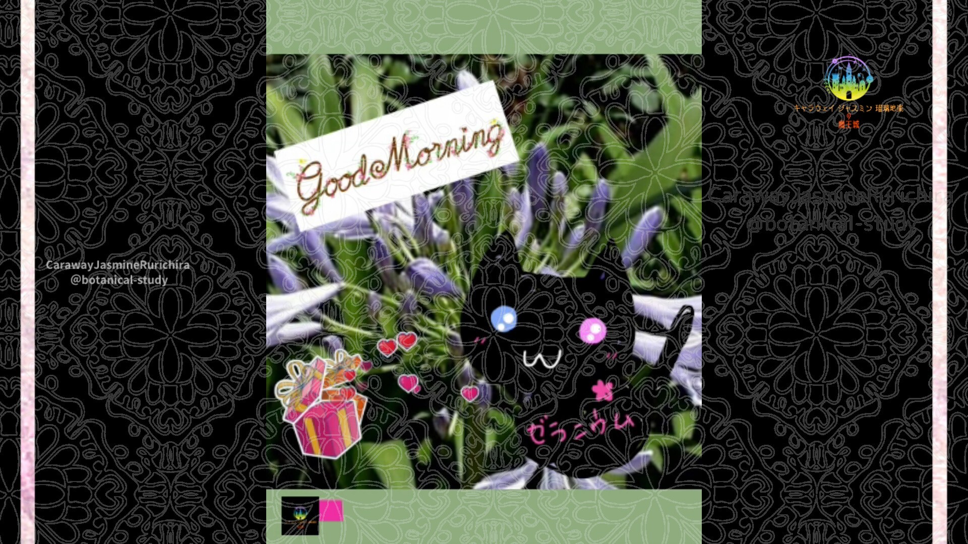 6月29日誕生花アガパンサス by Cジャスミン瑠璃地楽 | botanical-study.com