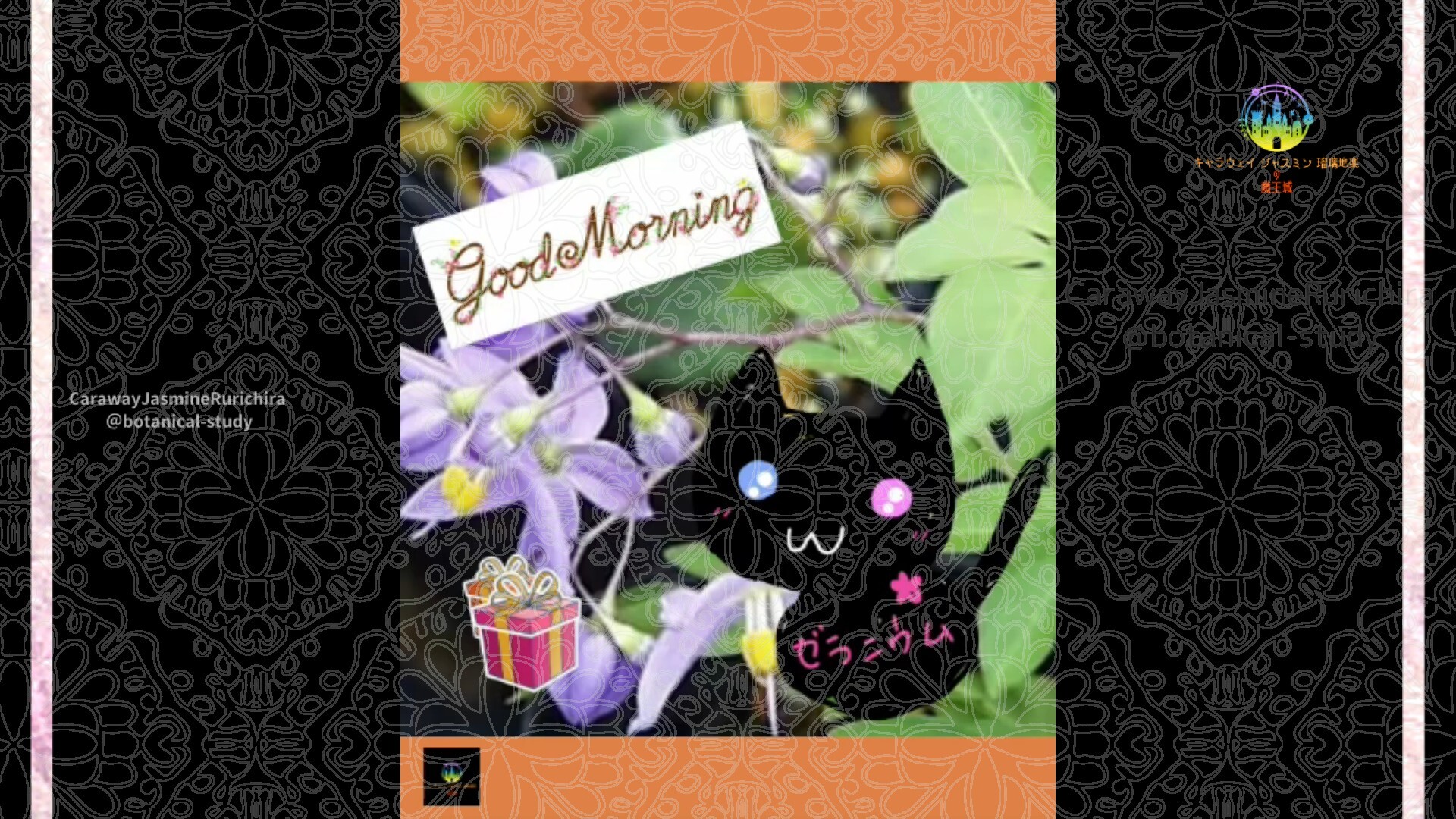 6月28日誕生花ツルハナナス by Cジャスミン瑠璃地楽 | botanical-study.com