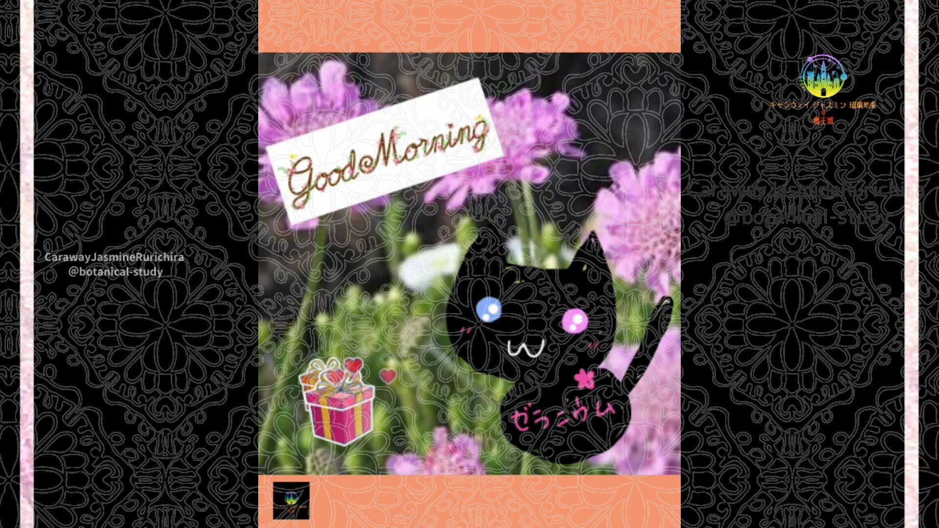 6月30日誕生花スカビオサ by Cジャスミン瑠璃地楽 | botanical-study.com