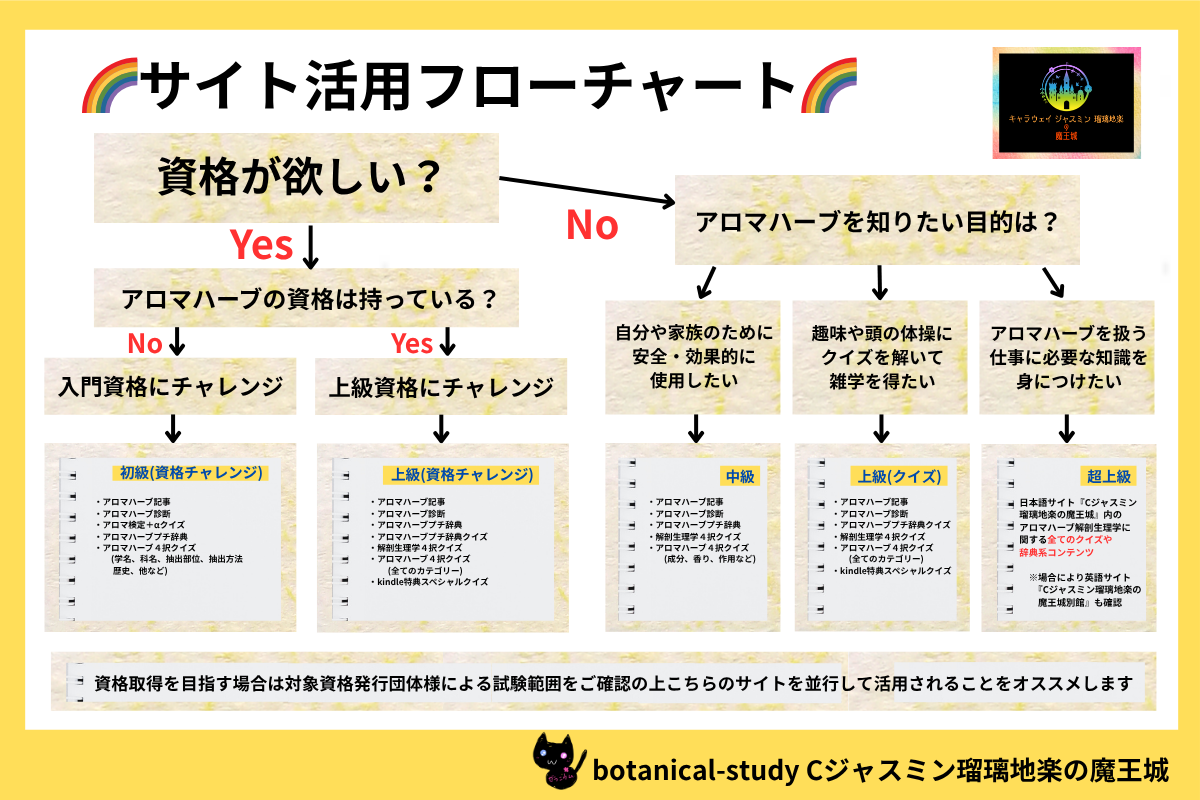 アロマハーブ学習フローチャート＠botanical-study.com