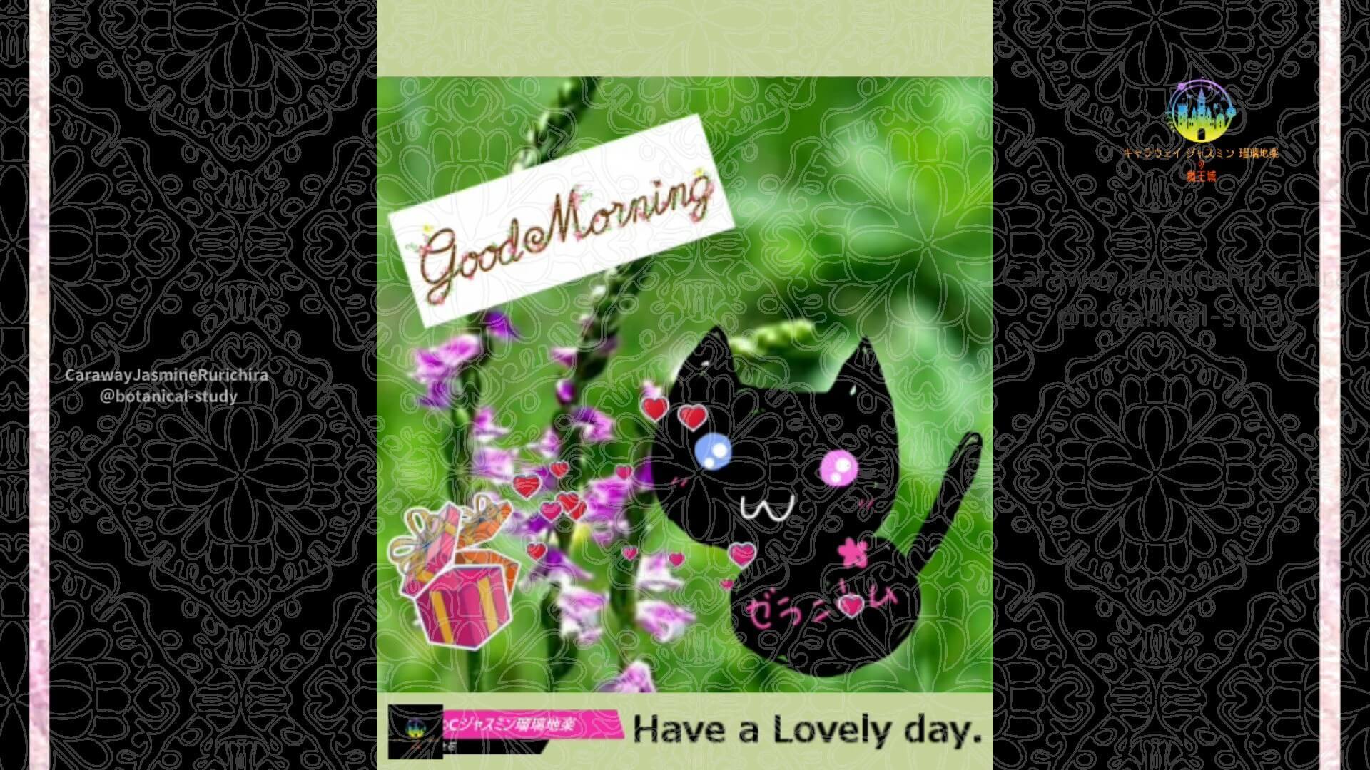 7月4日誕生花ネジバナ　by Cジャスミン瑠璃地楽 | botanical-study.com