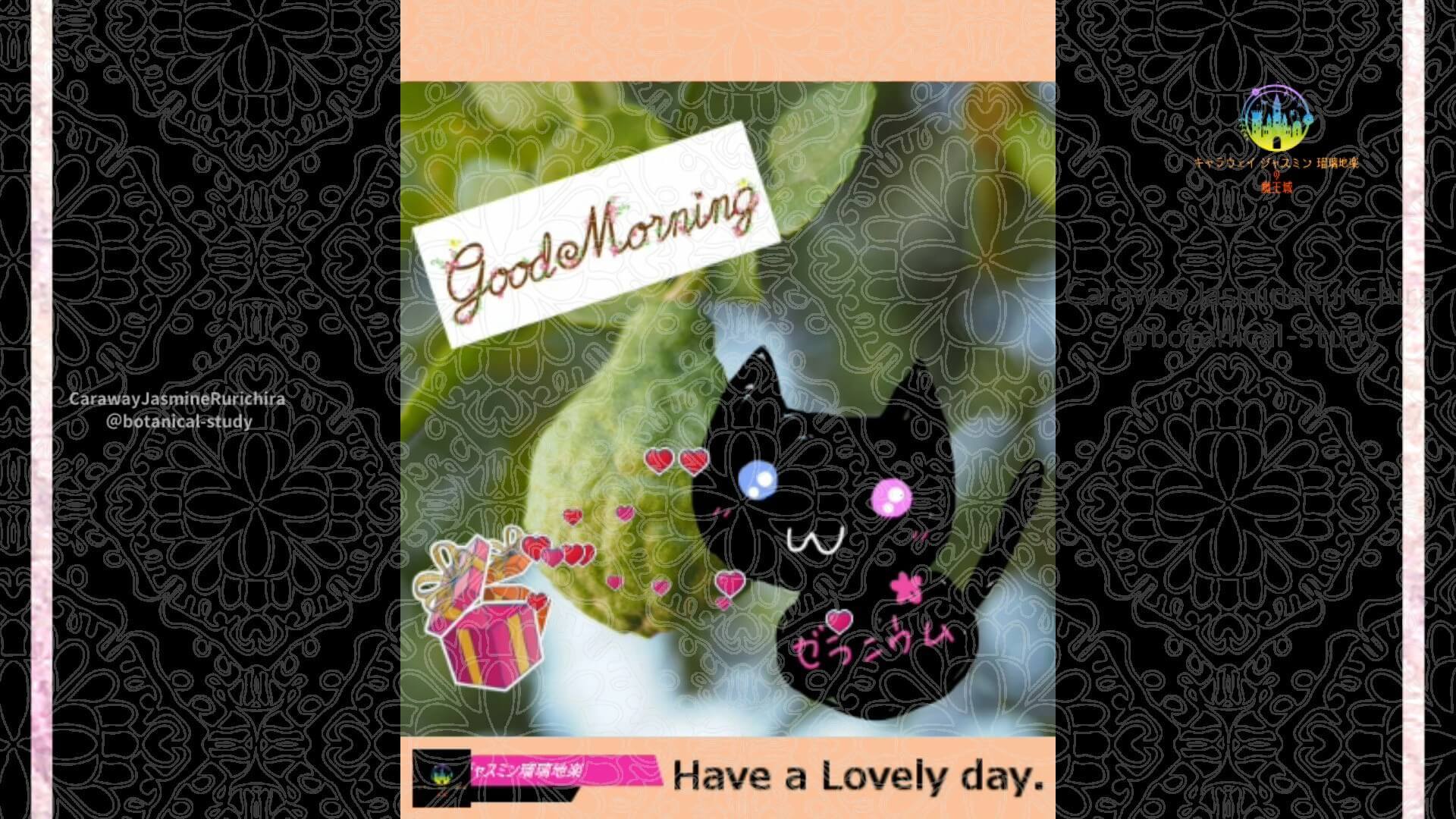 7月10日誕生花ベルガモット by Cジャスミン瑠璃地楽 | botanical-study.com