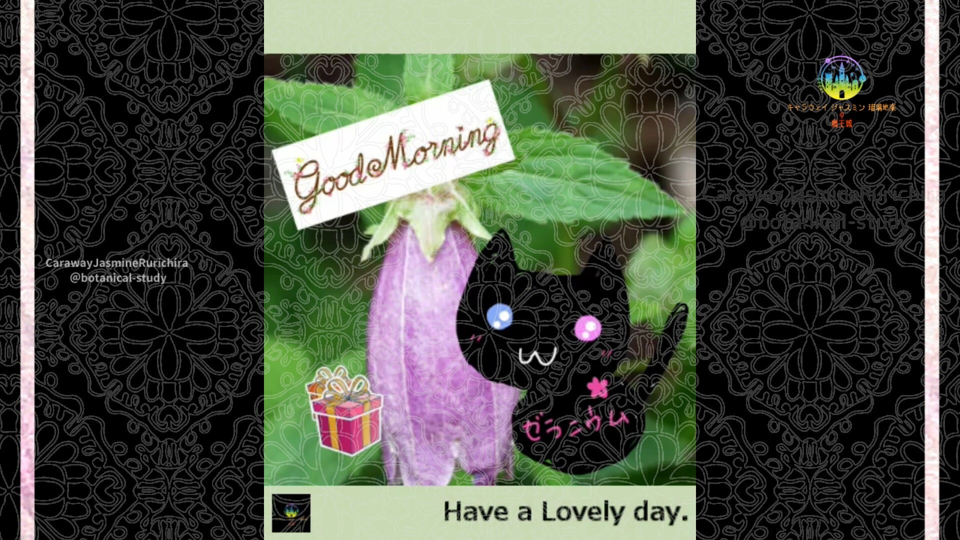 7月13日誕生花ホタルブクロby Cジャスミン瑠璃地楽 | botanical-study.com