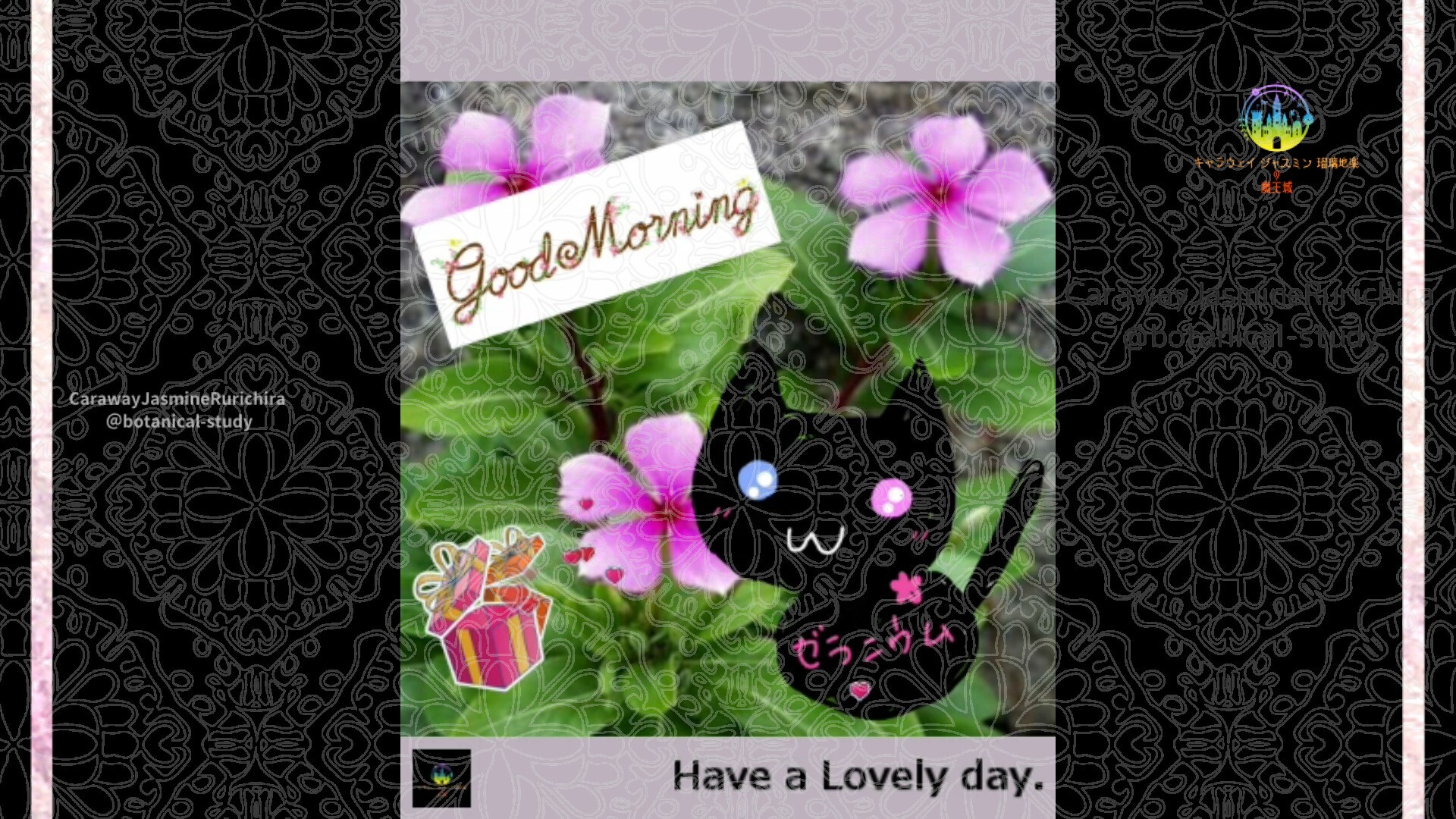 7月17日誕生花ニチニチソウby Cジャスミン瑠璃地楽 | botanical-study.com