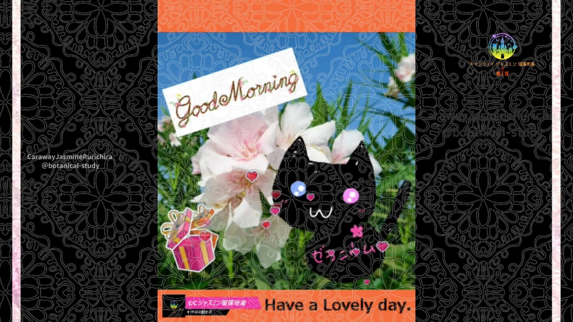 8月9日誕生花キョウチクトウby Cジャスミン瑠璃地楽 | botanical-study.com