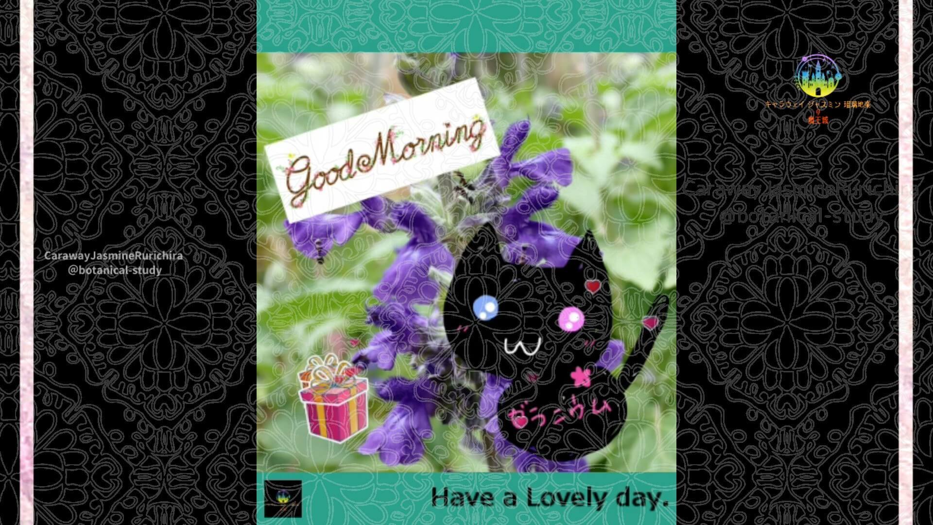 8月23日誕生花ブルーサルビア　by Cジャスミン瑠璃地楽 | botanical-study.com