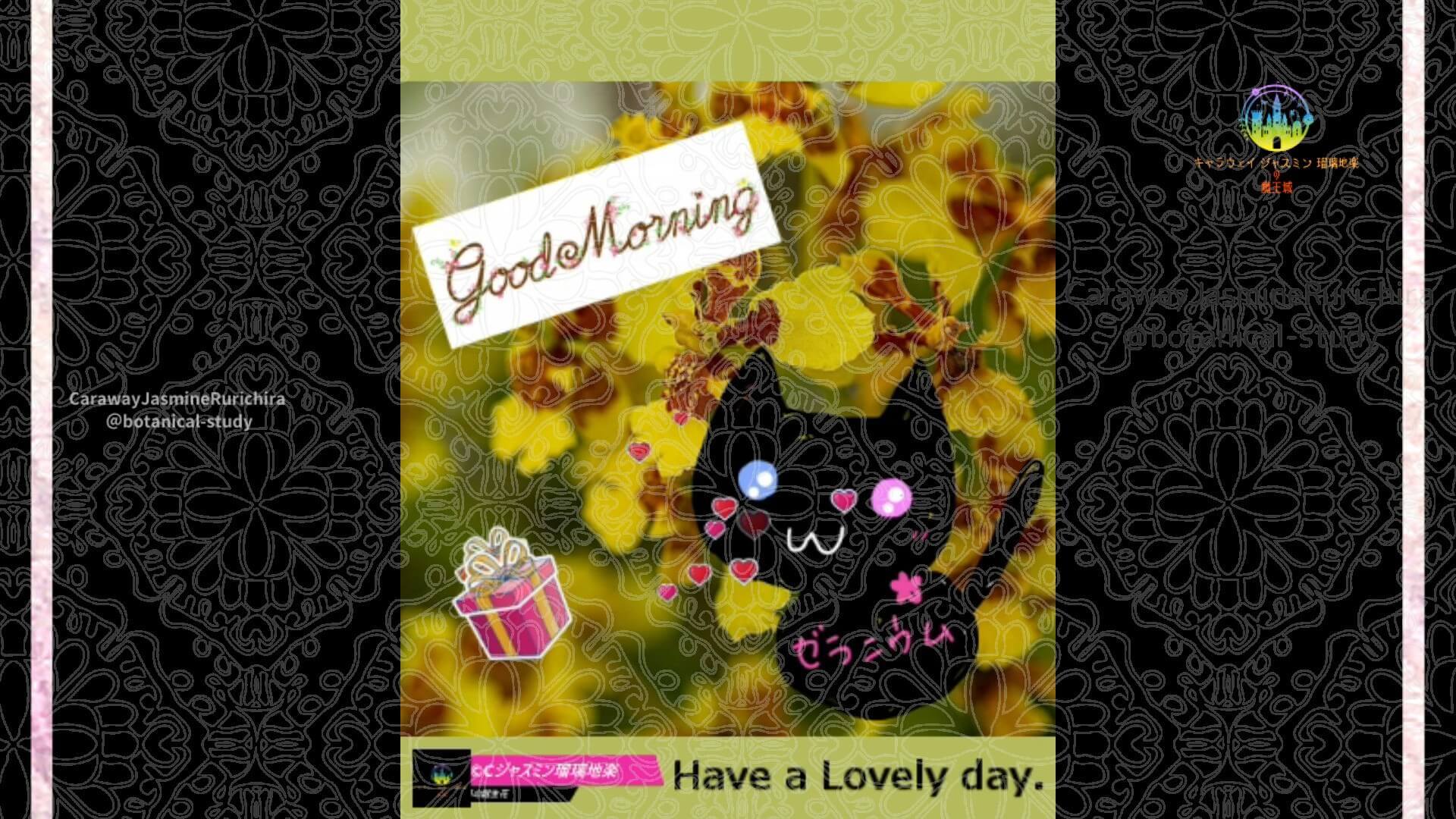 8月29日誕生花オレンジウム by Cジャスミン瑠璃地楽 | botanical-study.com