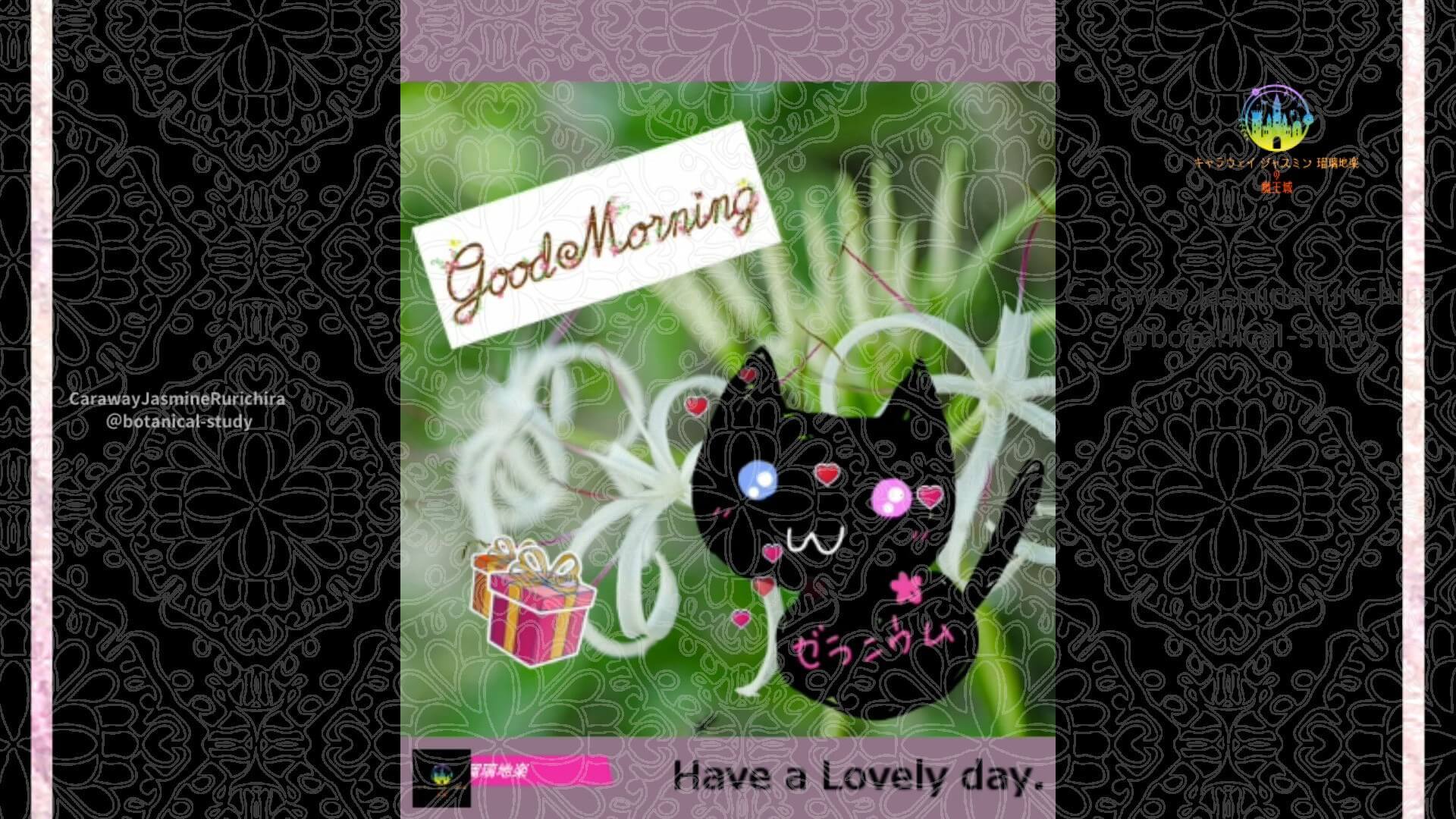 8月25日誕生花ハマユウ　by Cジャスミン瑠璃地楽 | botanical-study.com