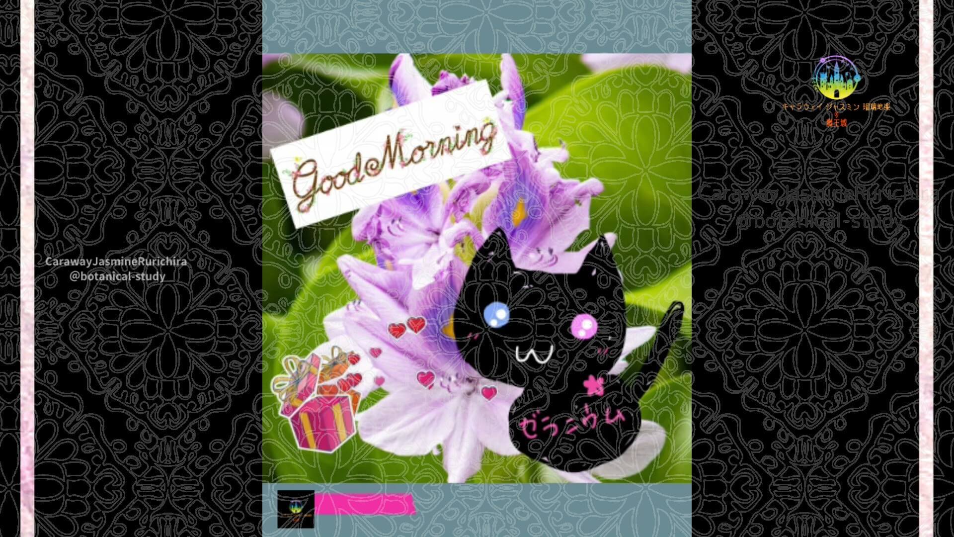 9月1日誕生花ホタテアオイ　by Cジャスミン瑠璃地楽 | botanical-study.com