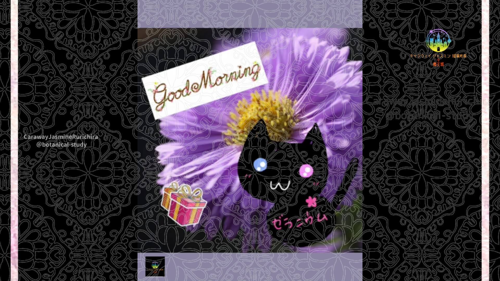 9月2日誕生花アスターby Cジャスミン瑠璃地楽 | botanical-study.com