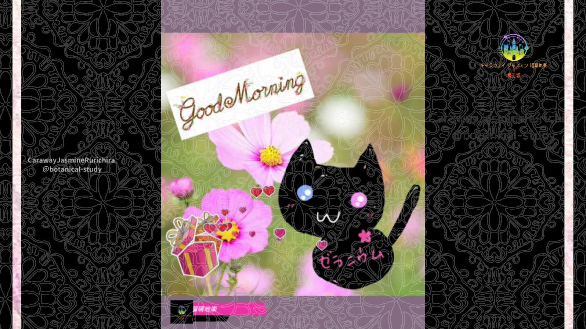 9月3日誕生花コスモス by Cジャスミン瑠璃地楽 | botanical-study.com