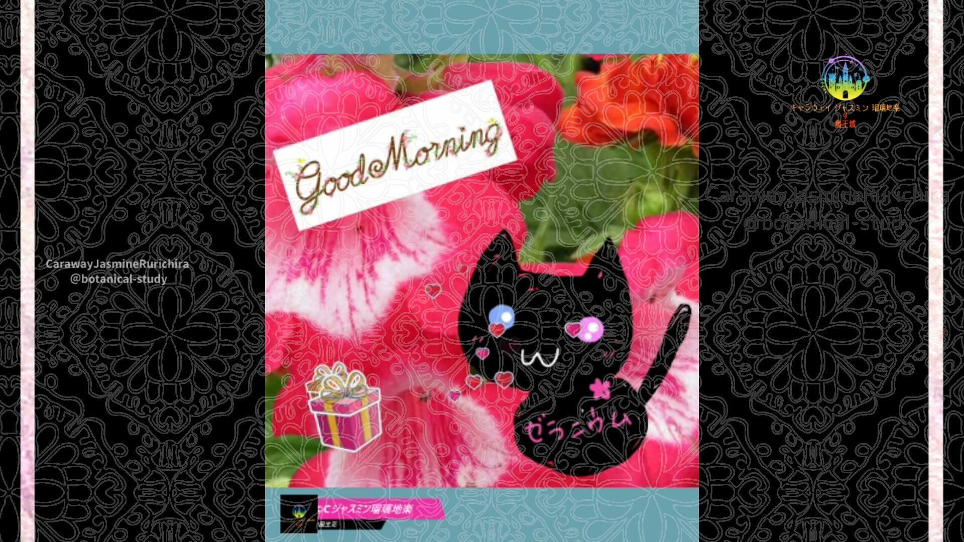 9月4日誕生花ペンステモン　by Cジャスミン瑠璃地楽 | botanical-study.com