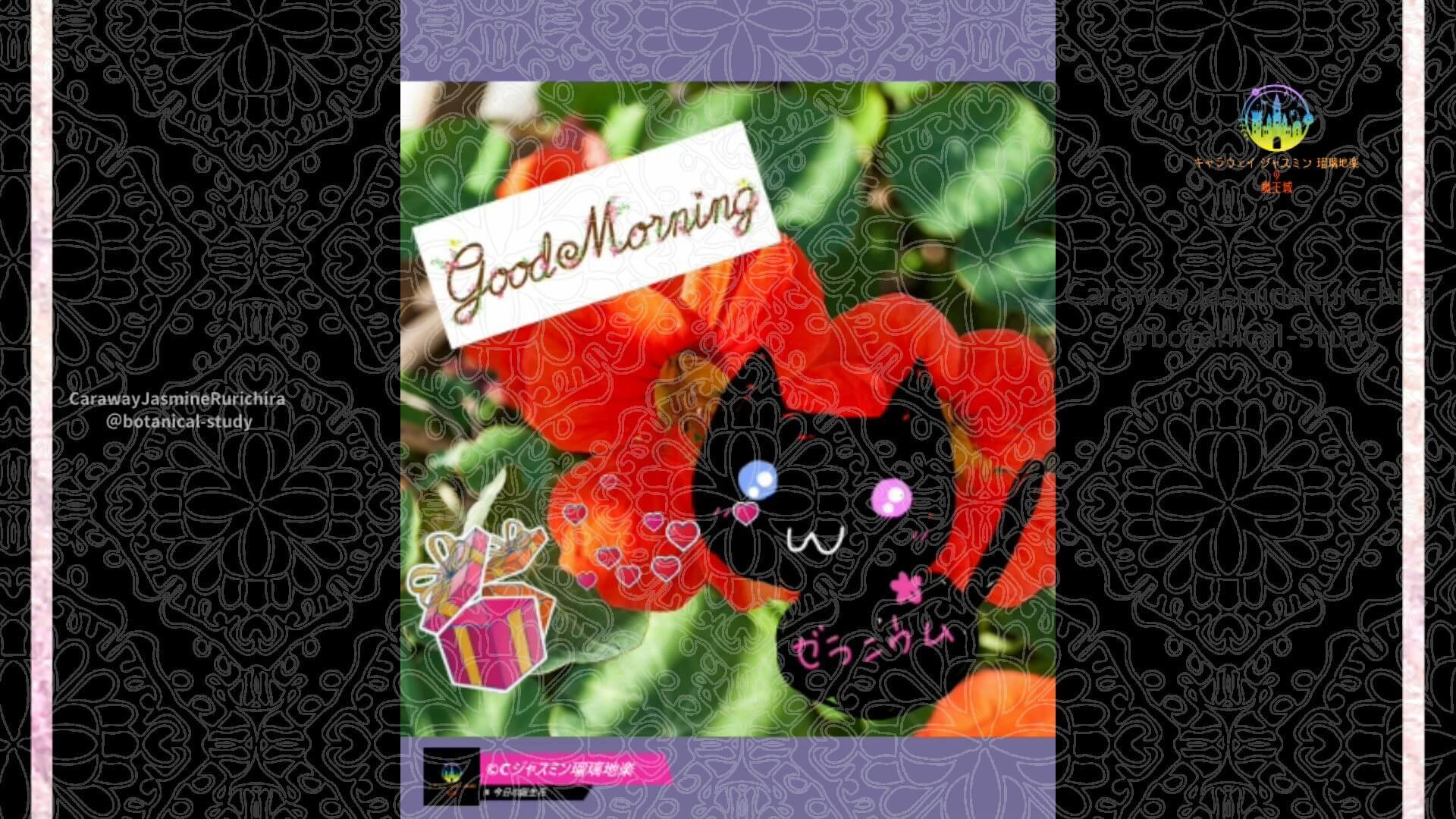 9月6日誕生花ナスタチウム　by Cジャスミン瑠璃地楽 | botanical-study.com