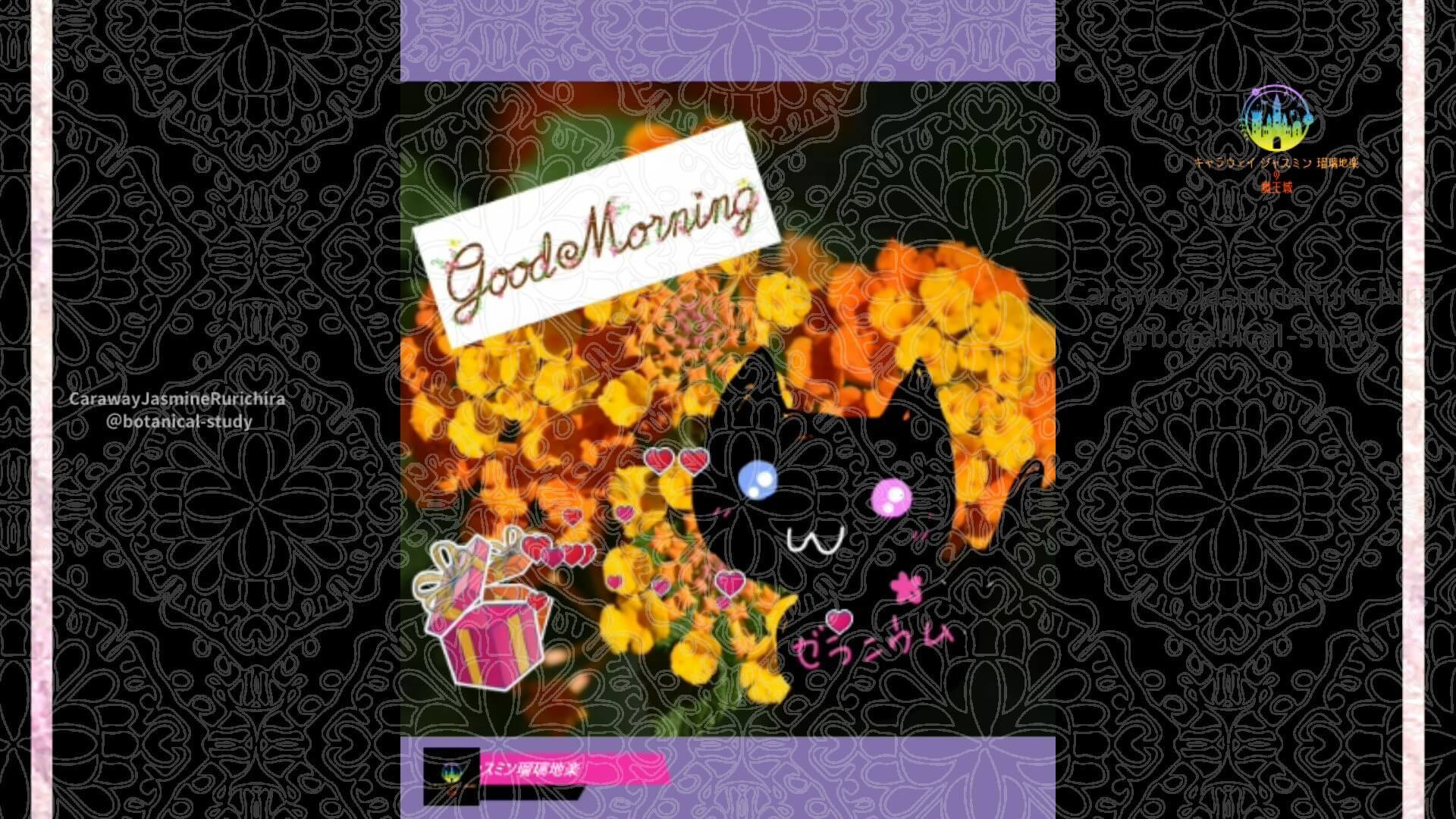 9月5日誕生花マリーゴールド by Cジャスミン瑠璃地楽 | botanical-study.com